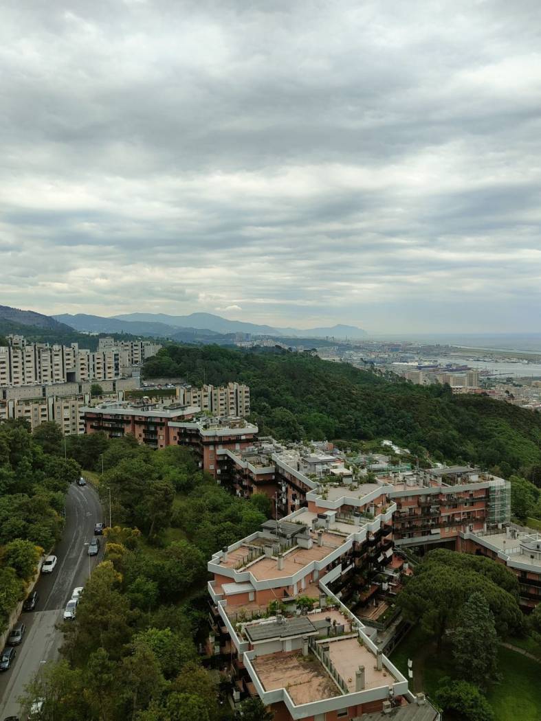 Vista