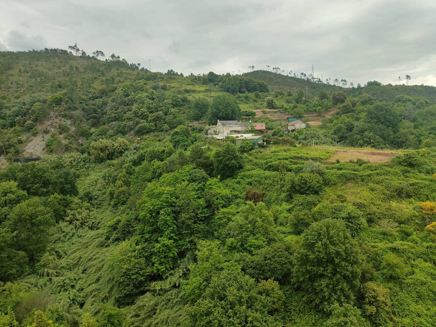 Vista