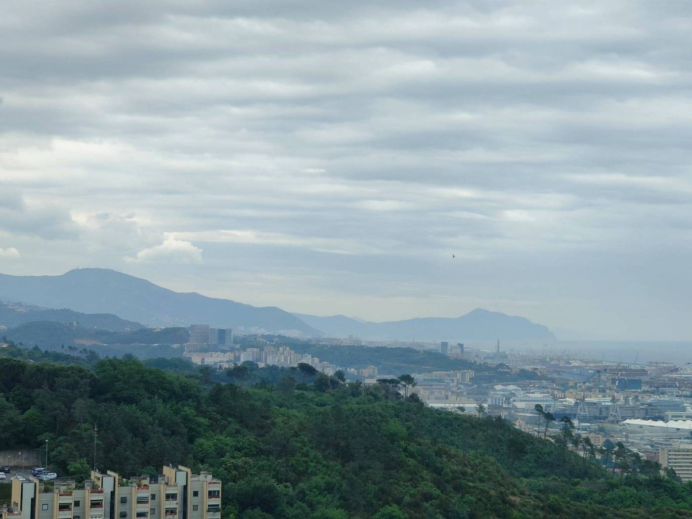 Vista