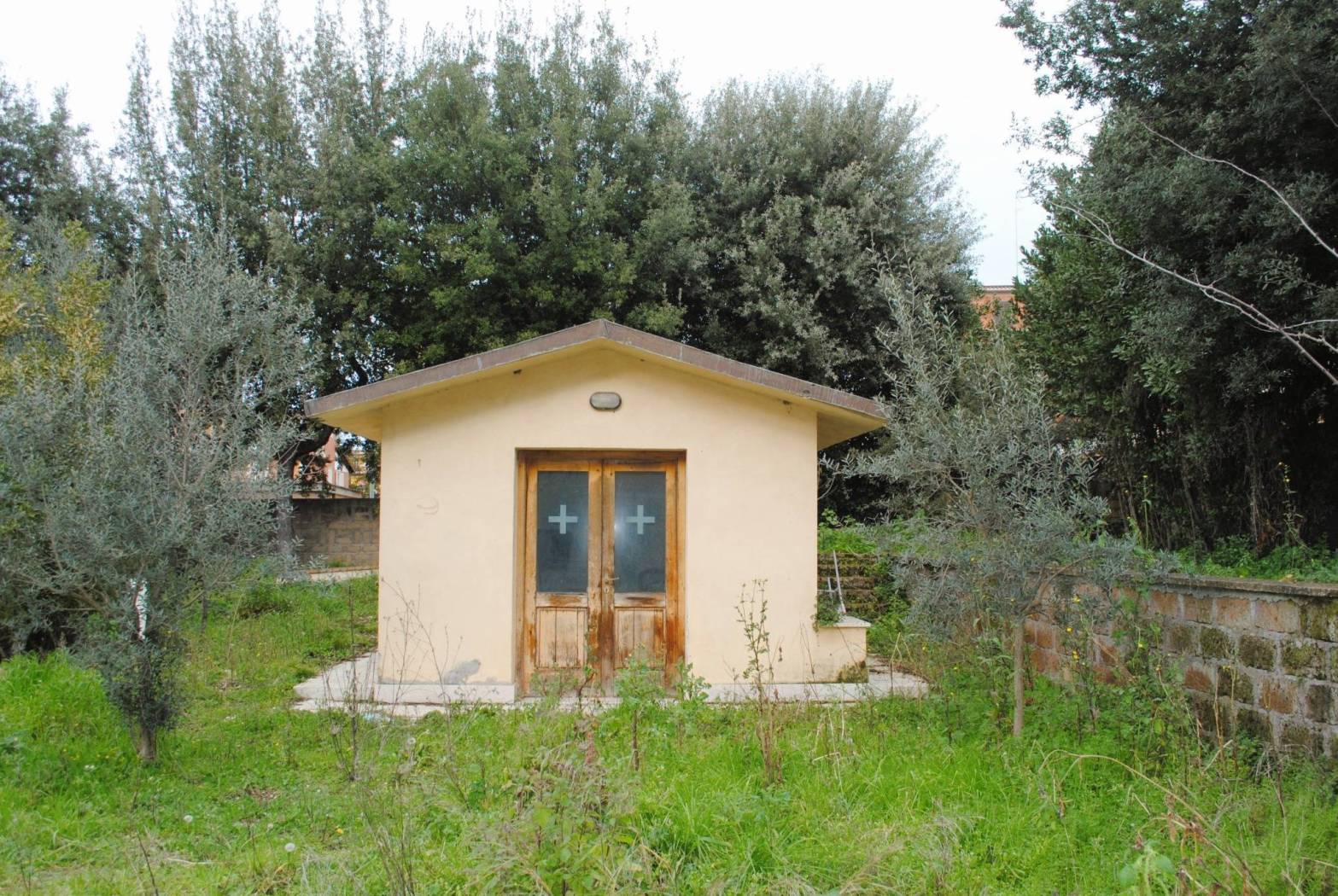 Terreno