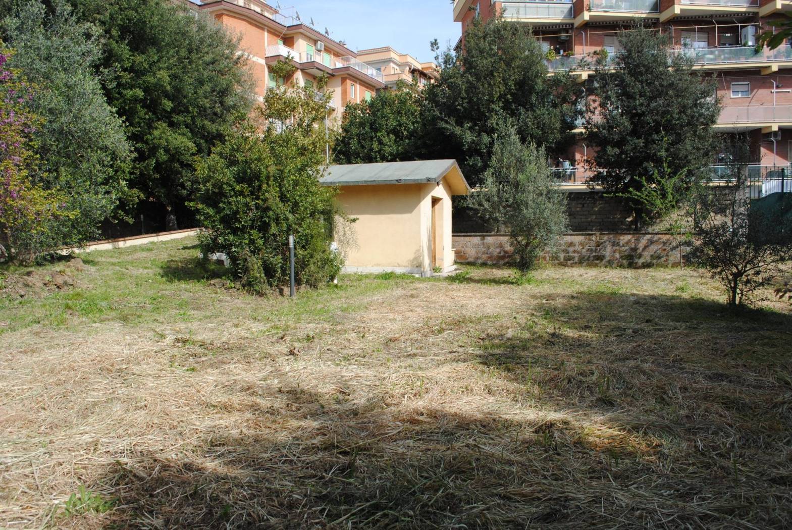 Terreno