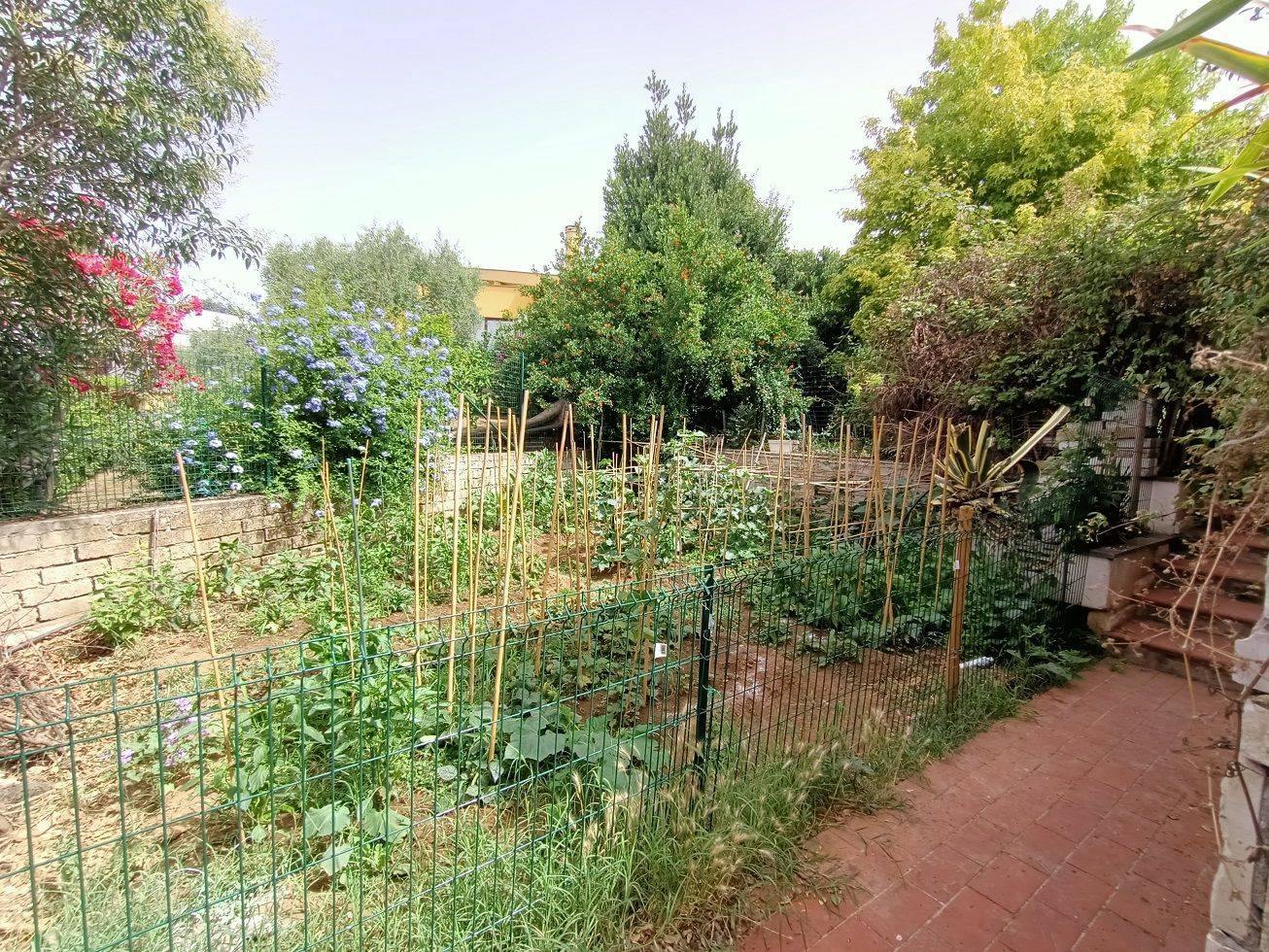 Terreno