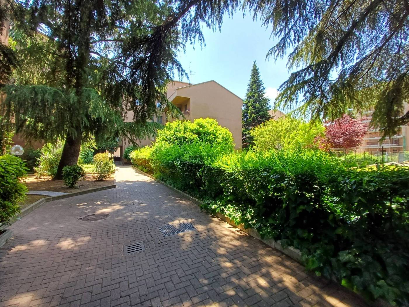 Giardino