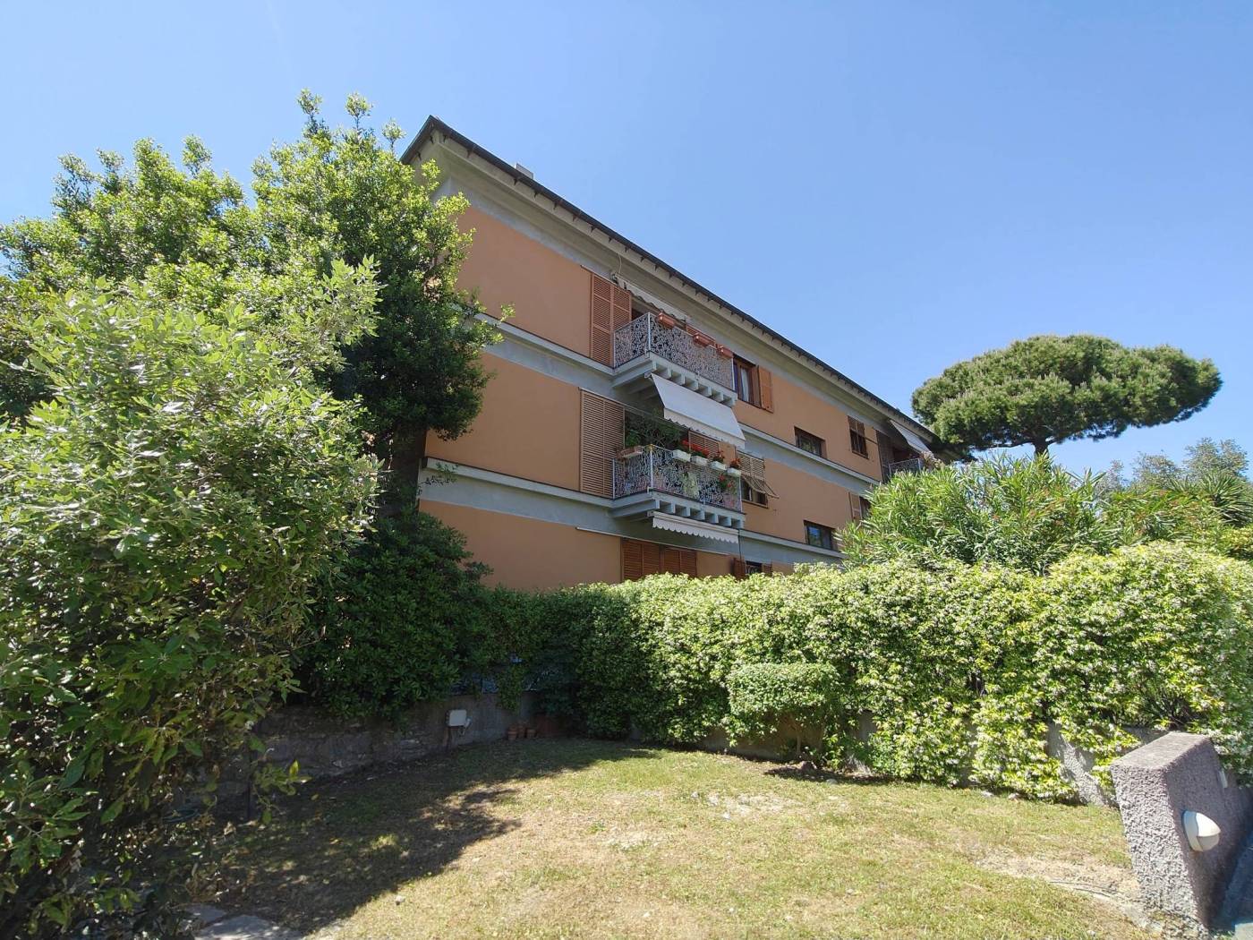 Giardino
