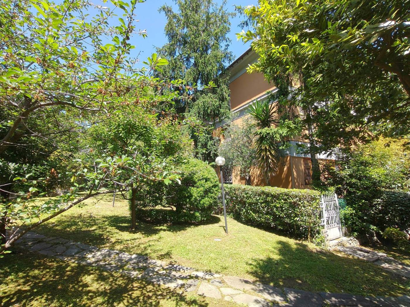 Giardino