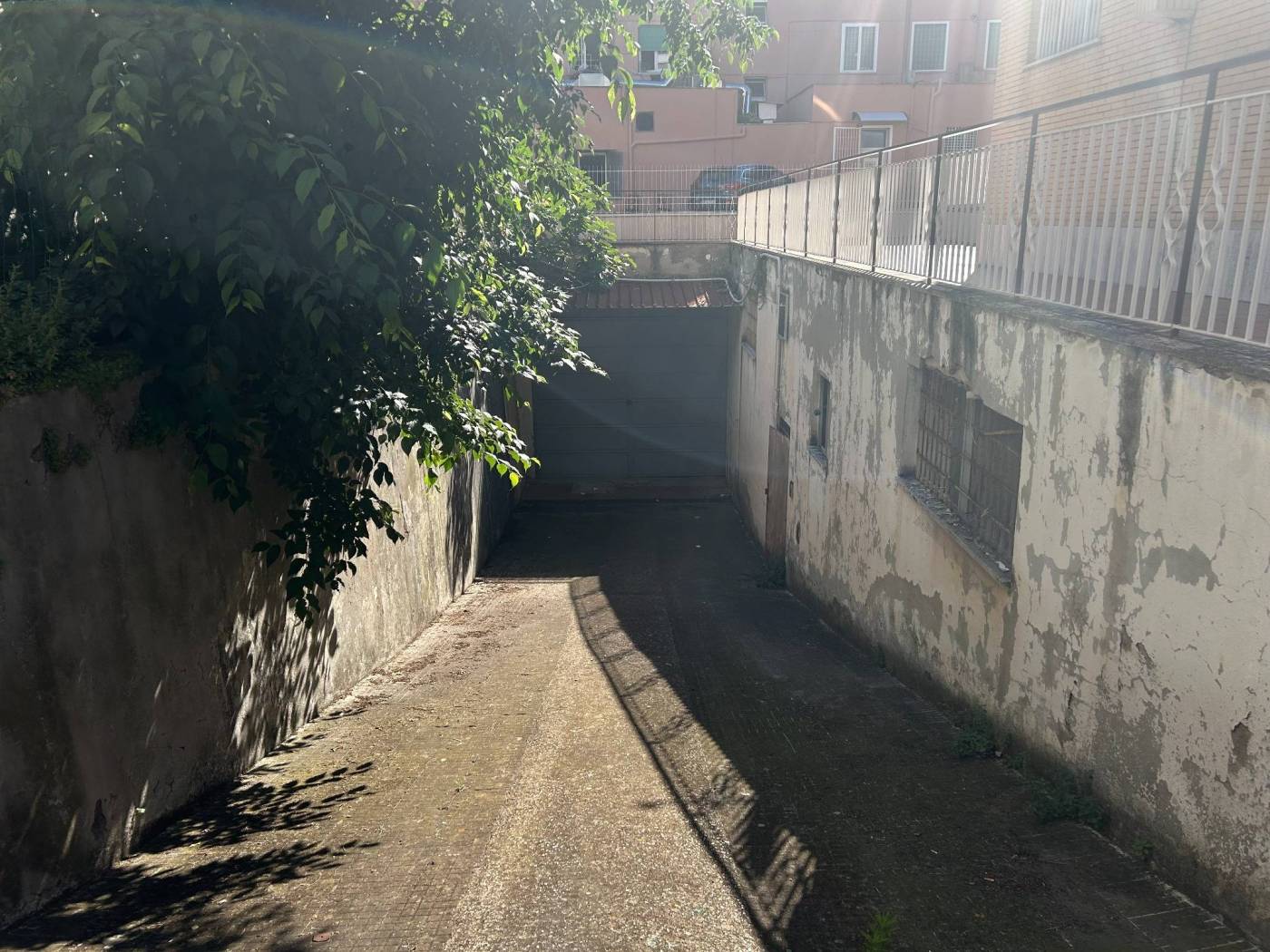 Giardino