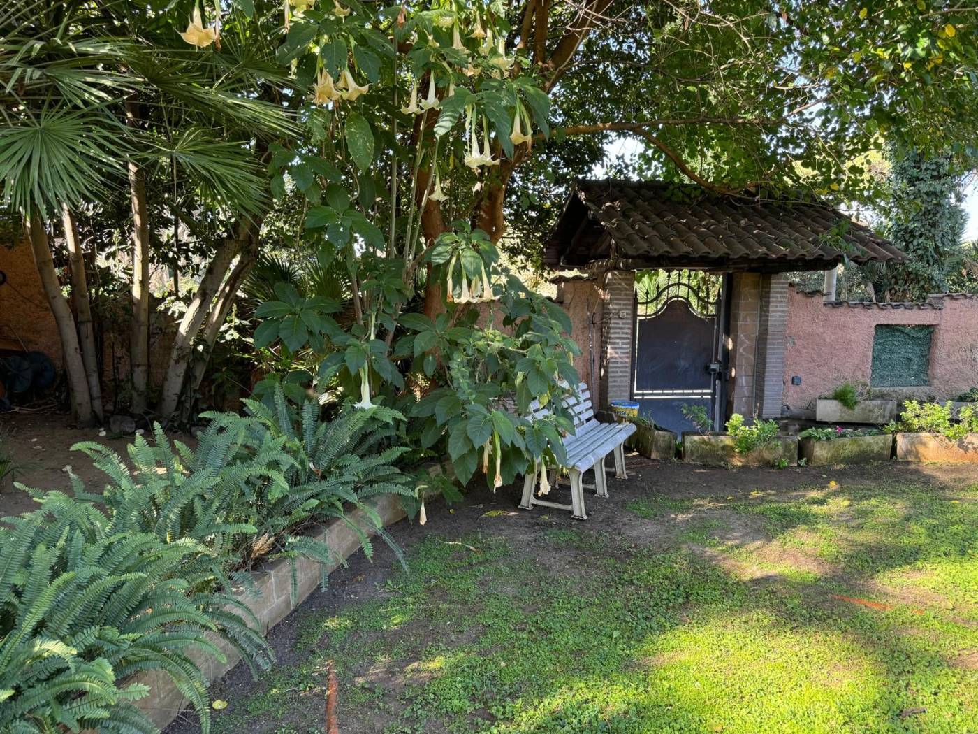 Giardino