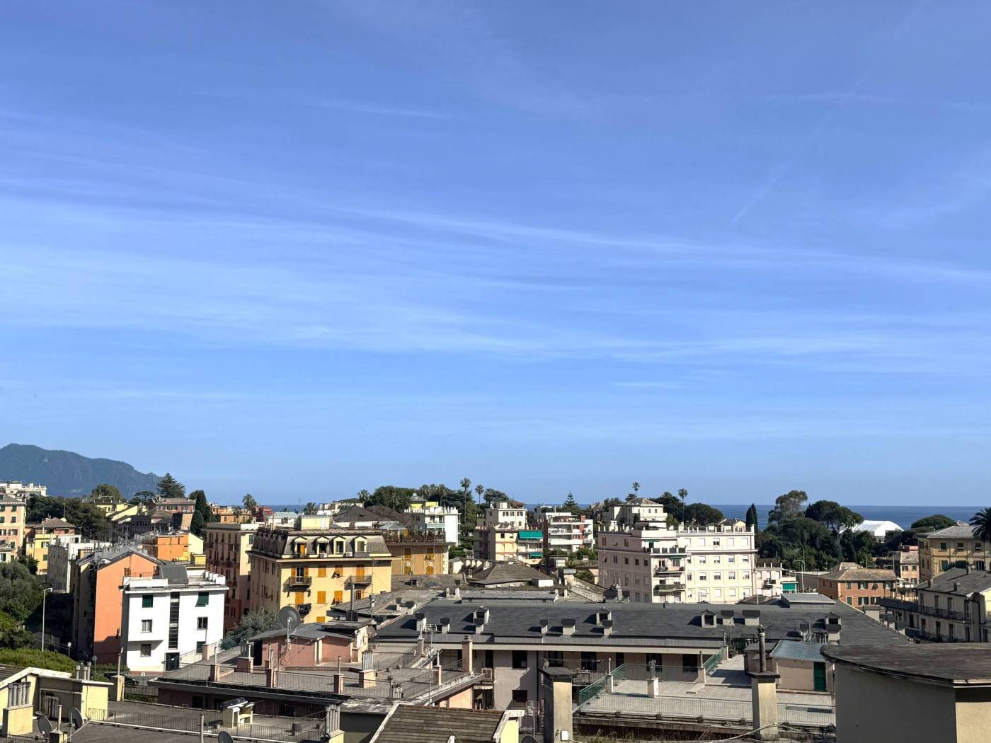 Vista