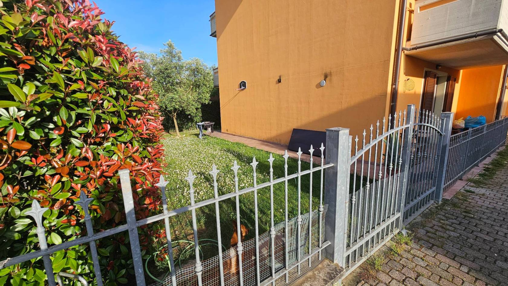 Giardino