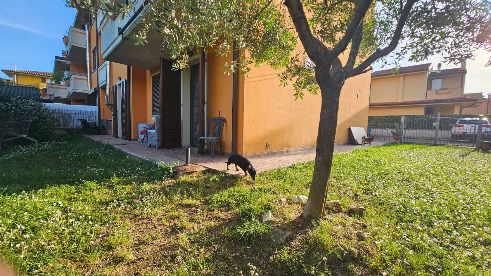 Giardino