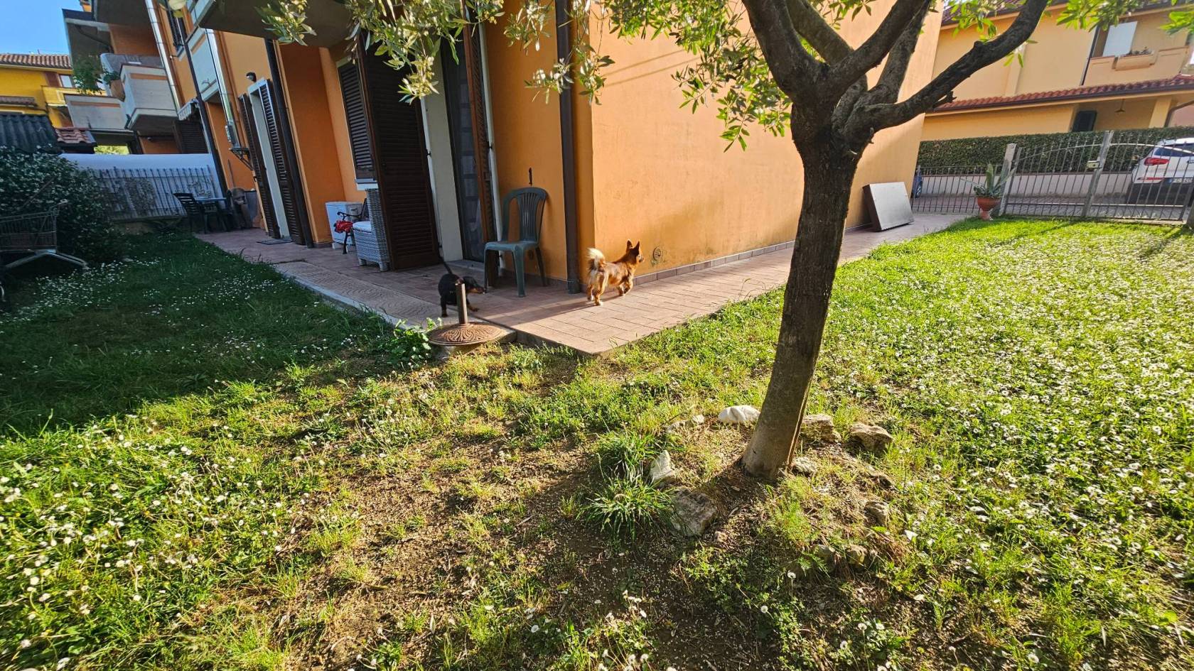 Giardino