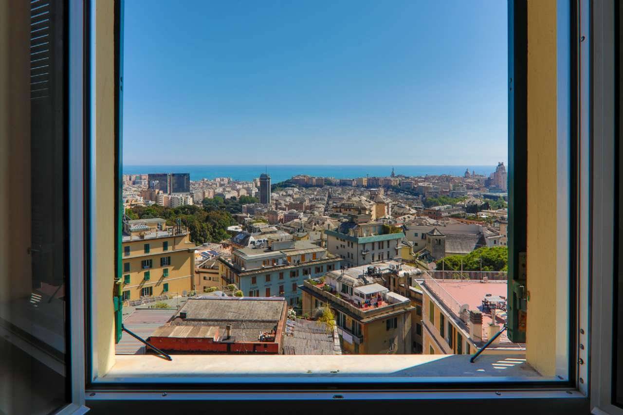 Vista