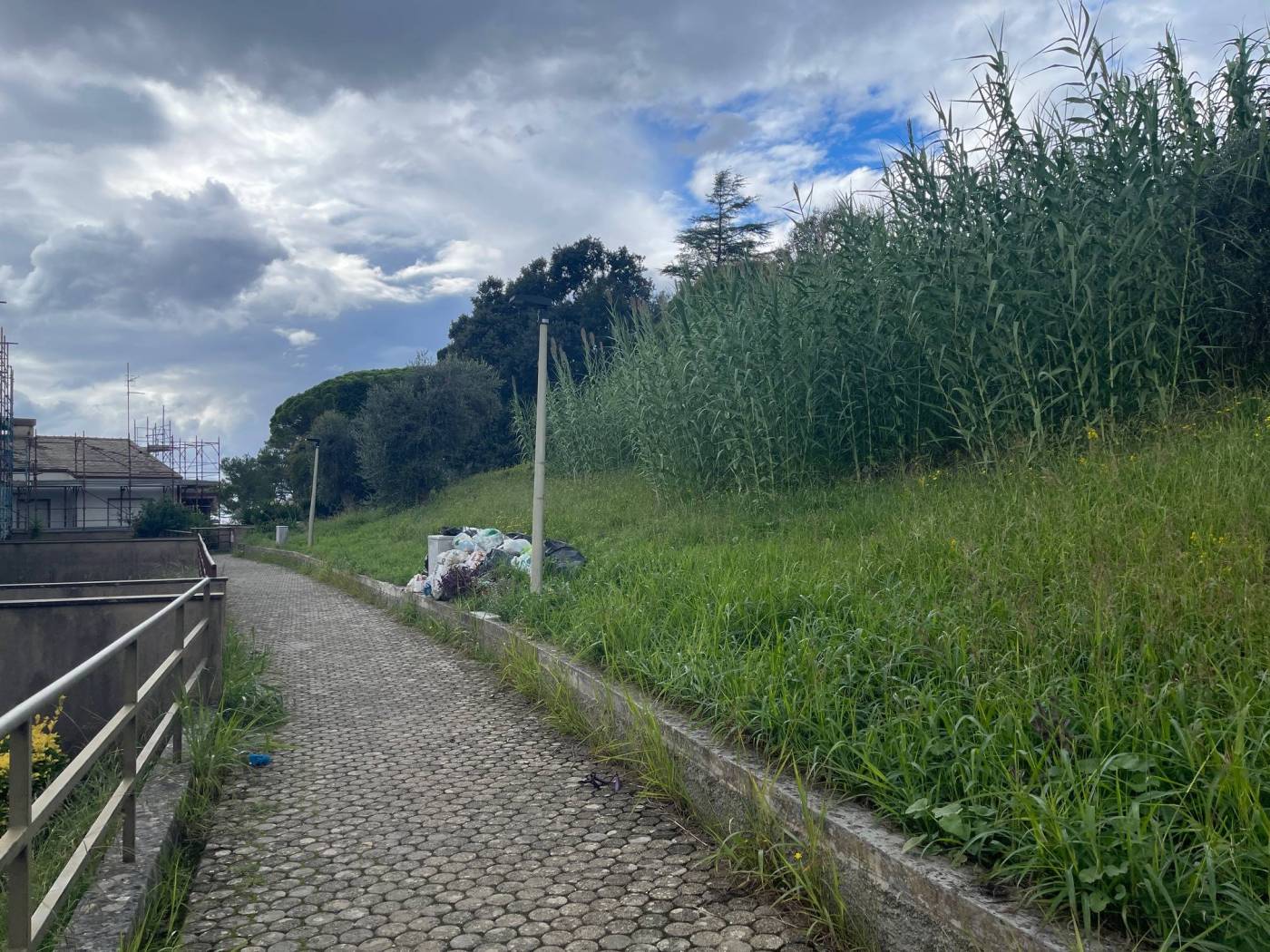 Terreno