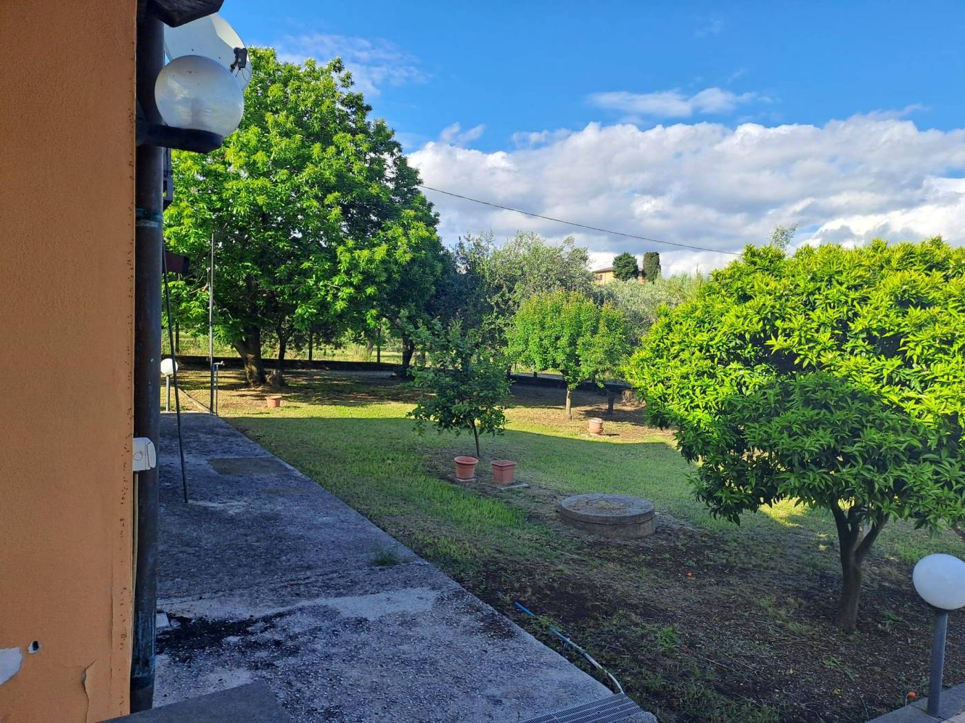 Giardino