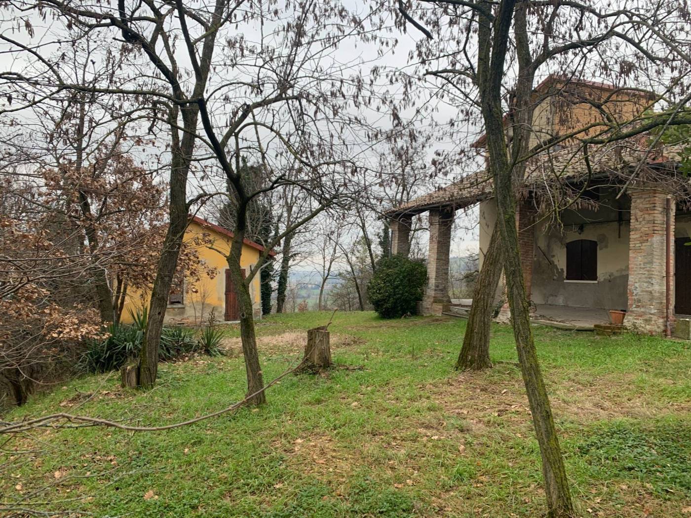Terreno
