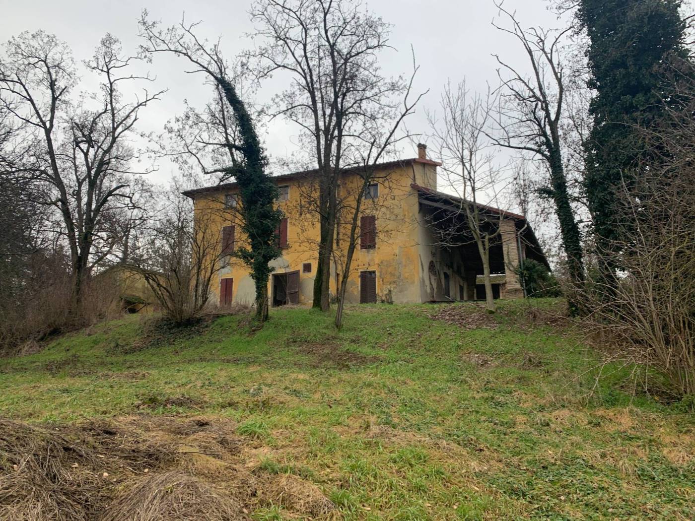 Terreno