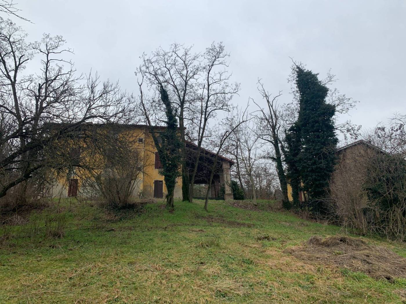 Terreno