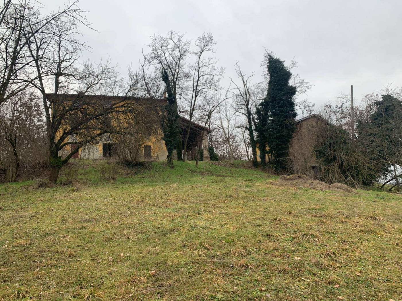 Terreno