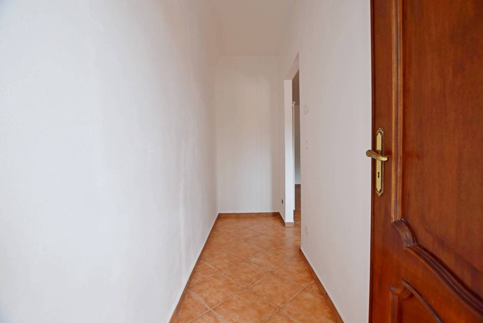 Ingresso