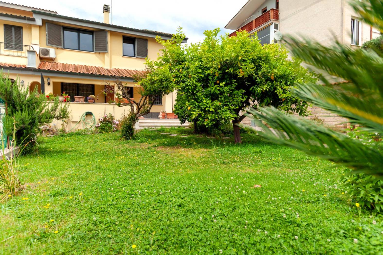 Giardino