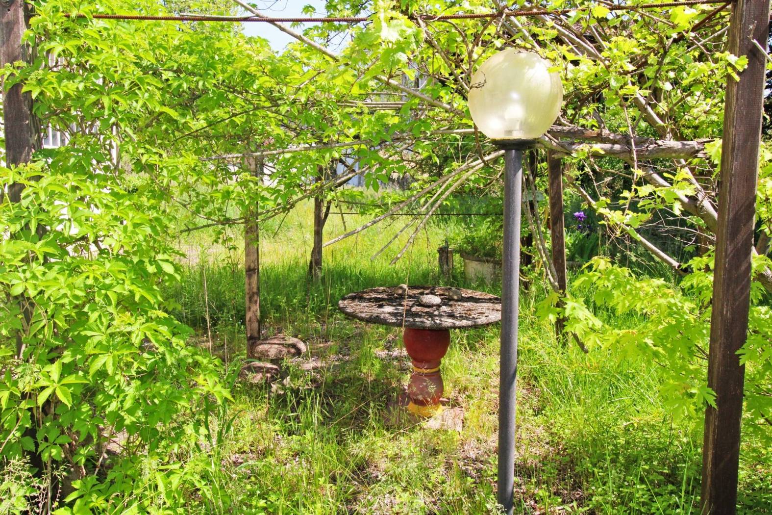 Giardino