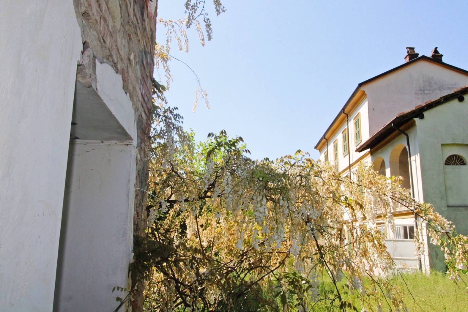 Vista