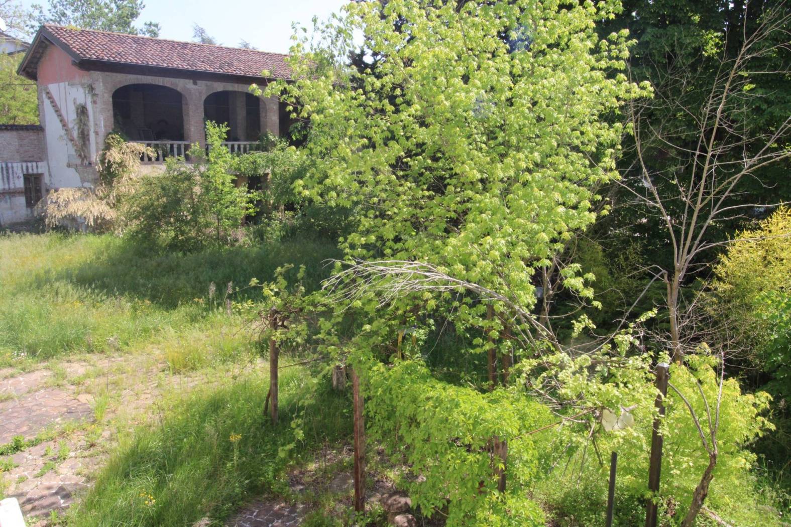 Terreno