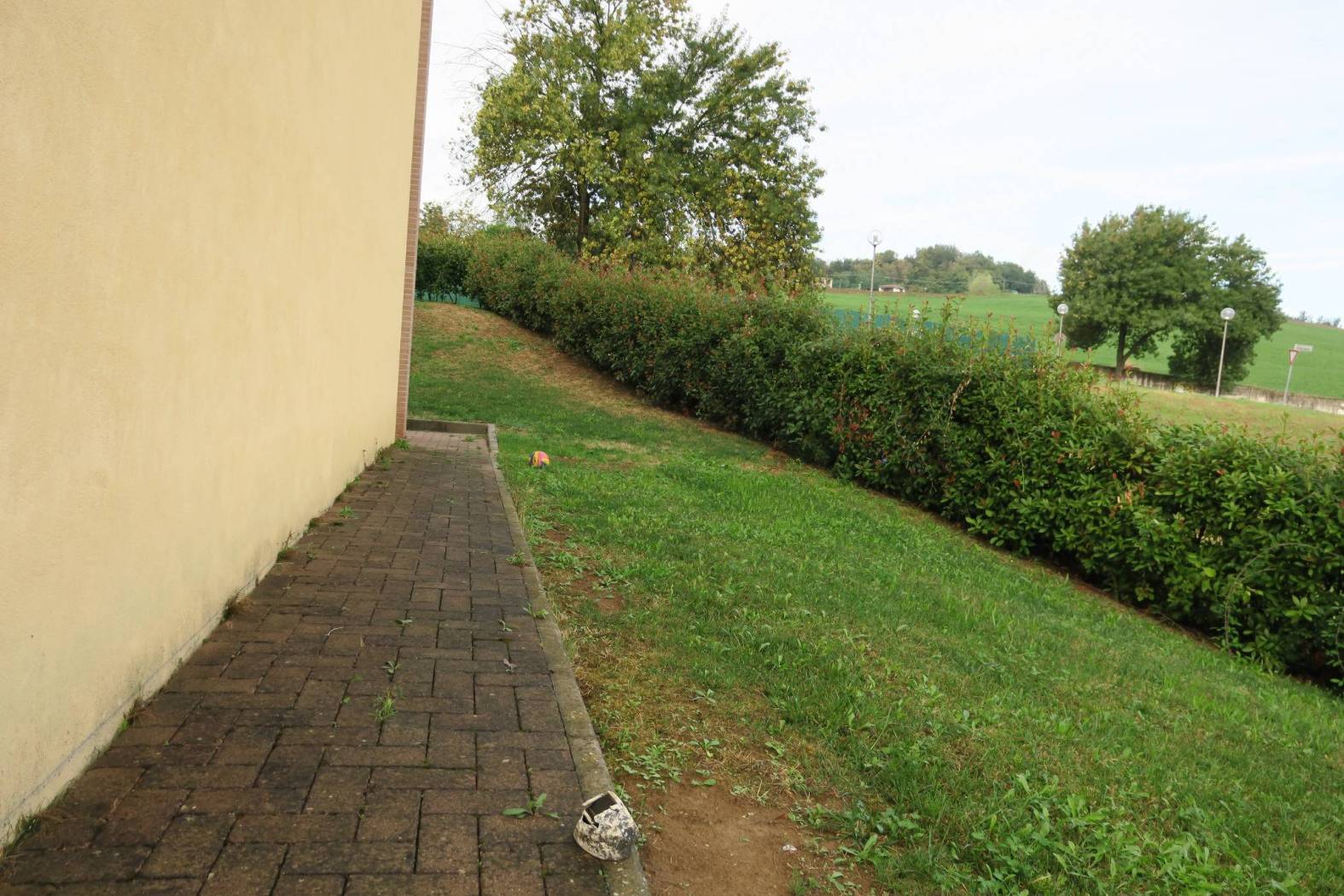 Giardino