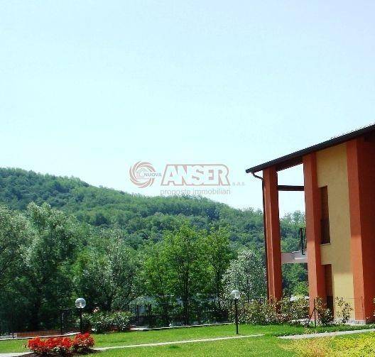 Vista