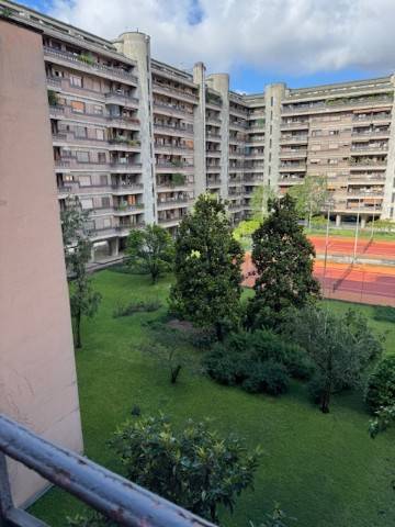 Vista