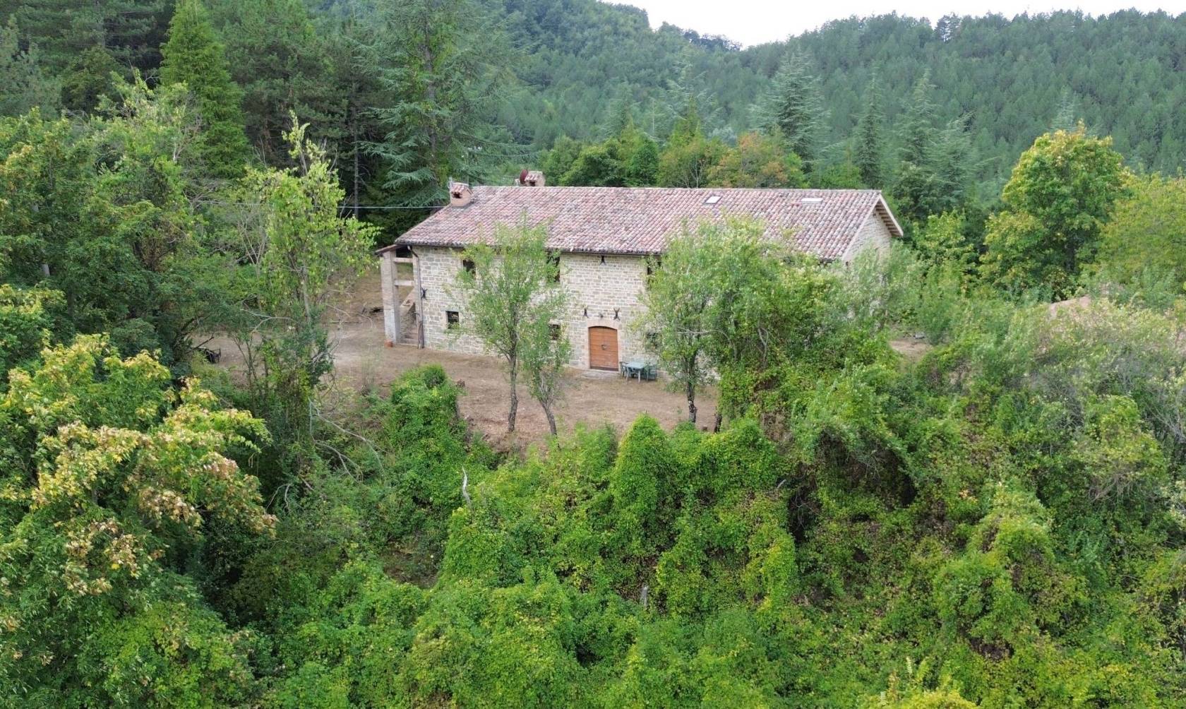 Vista