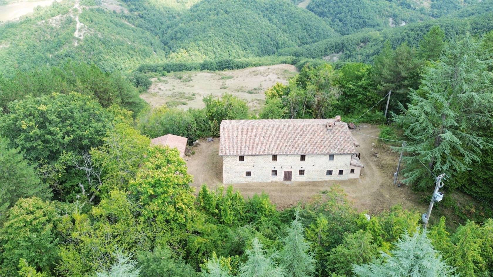 Vista