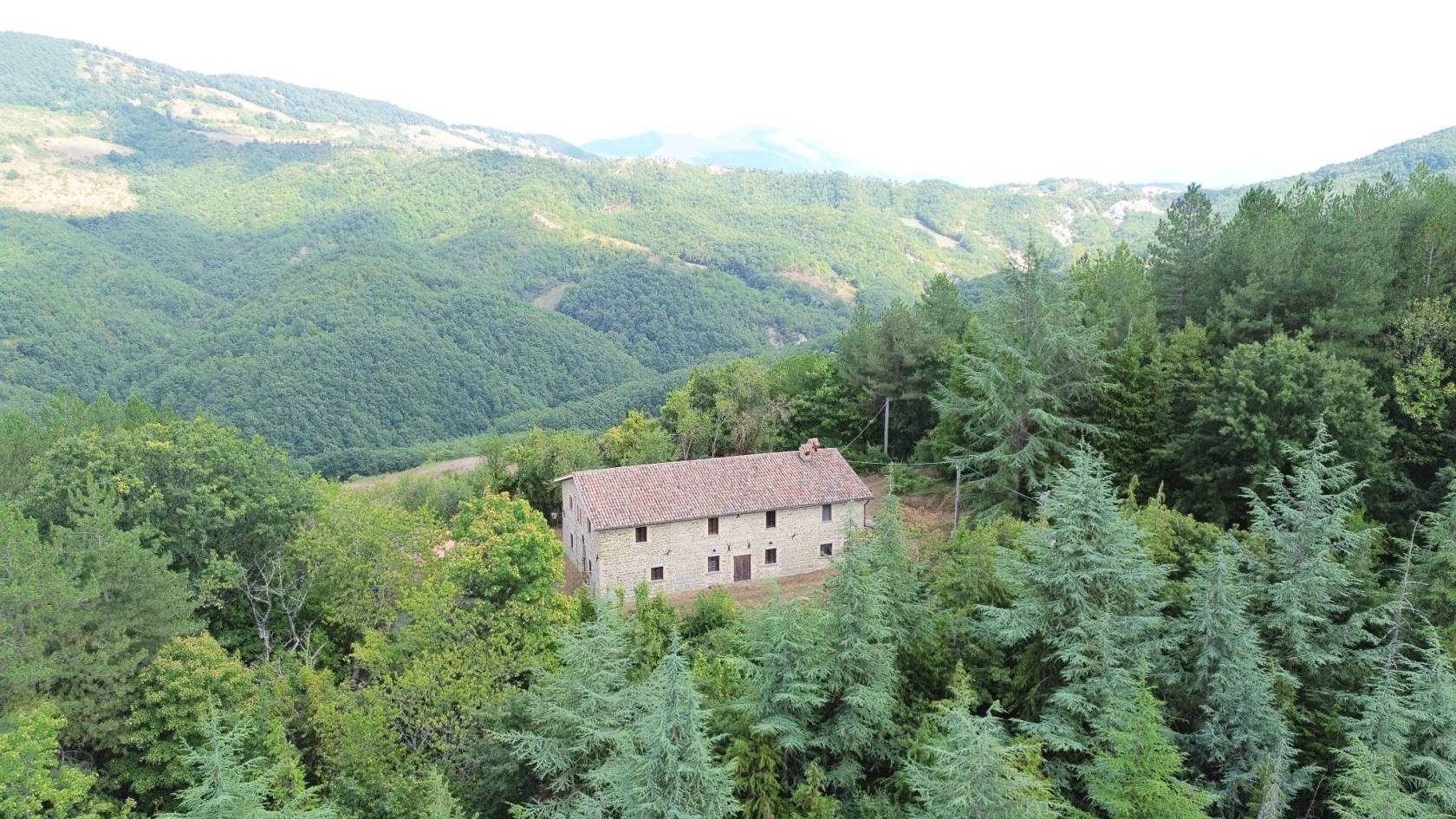 Vista