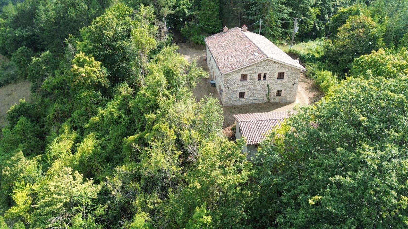 Vista