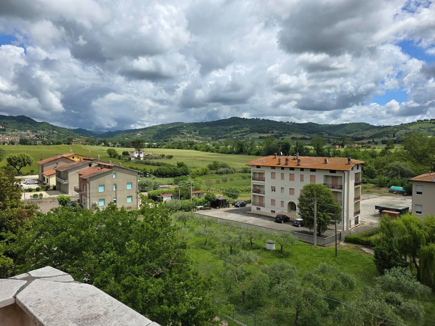 Vista
