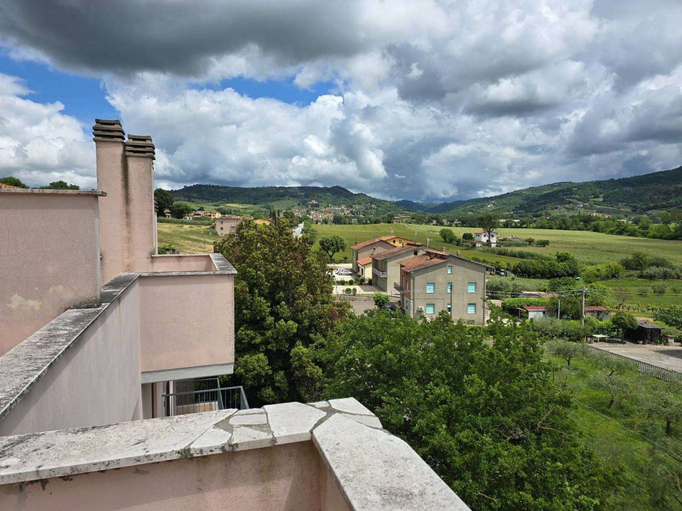 Vista