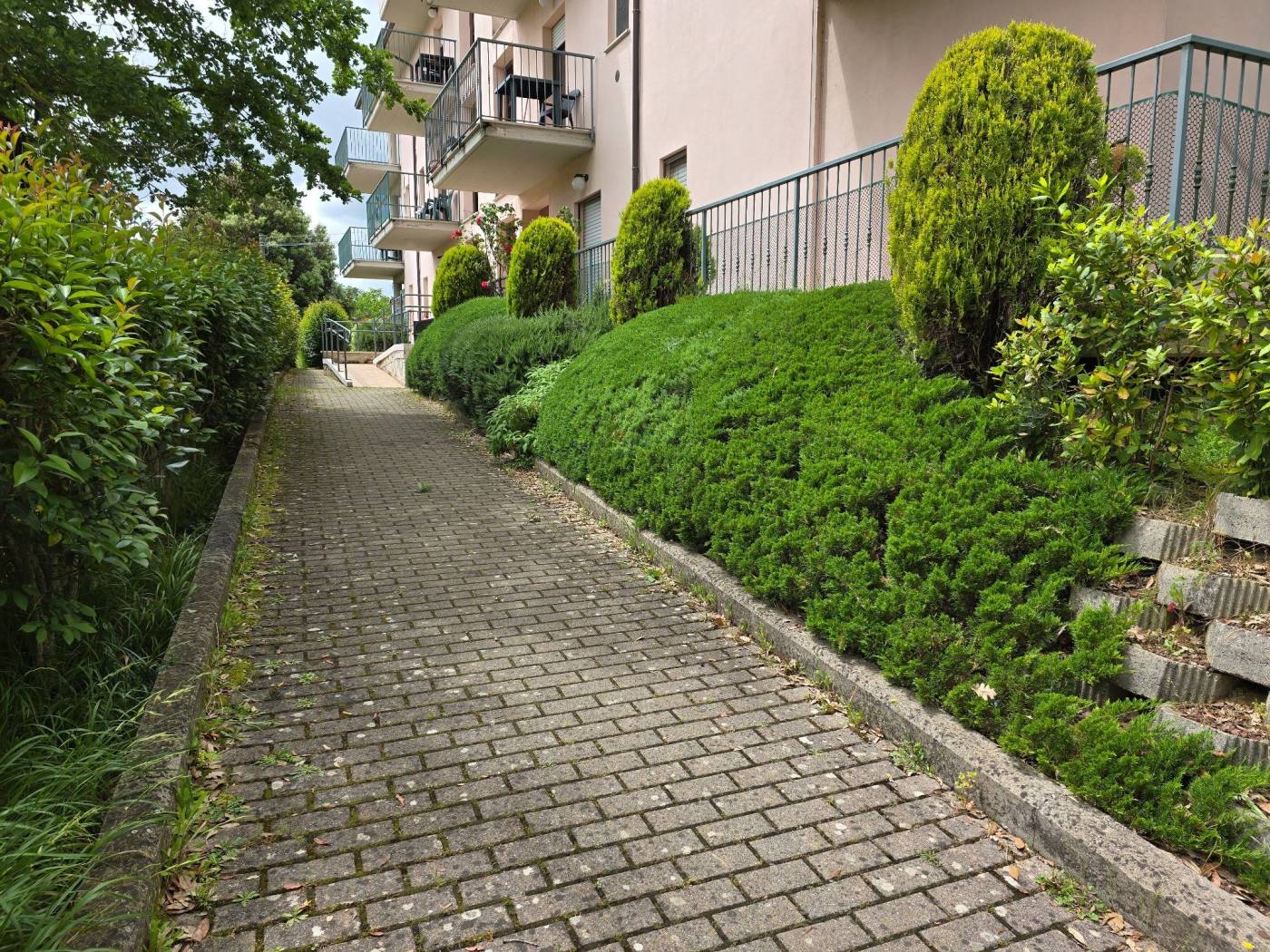 Giardino