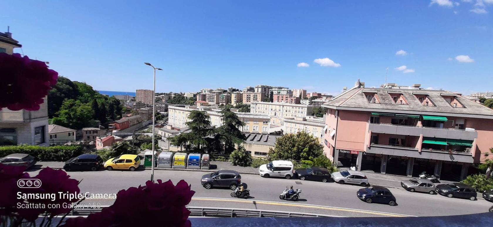 Vista