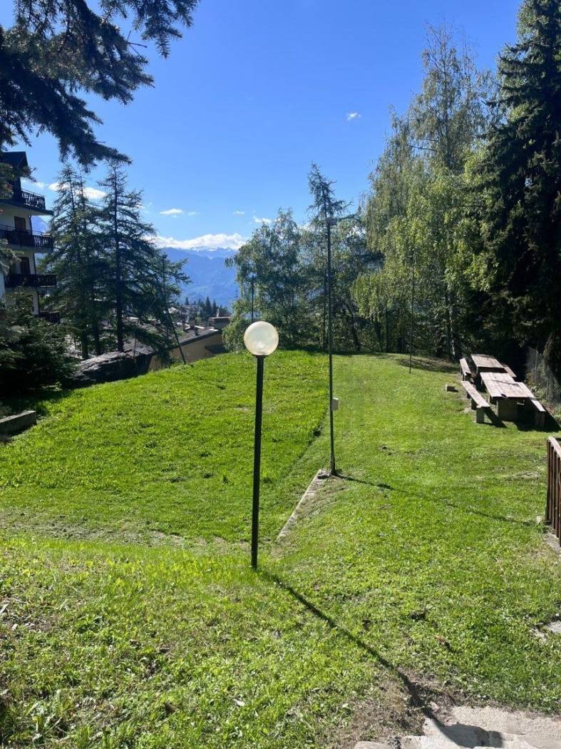 Giardino