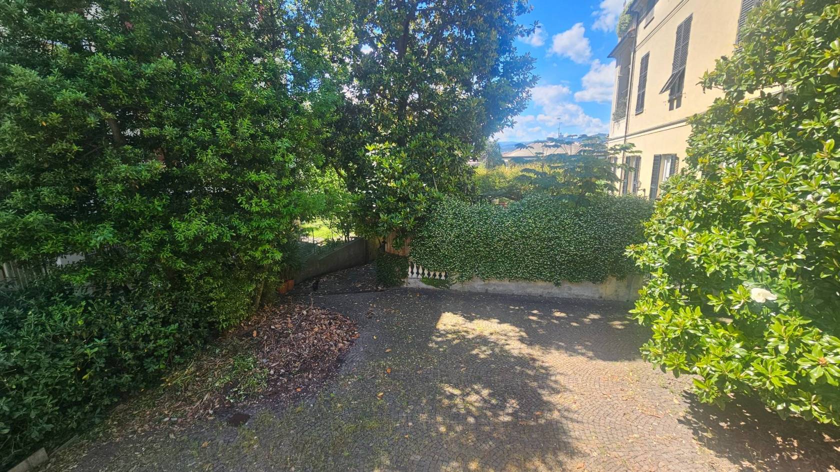 Giardino