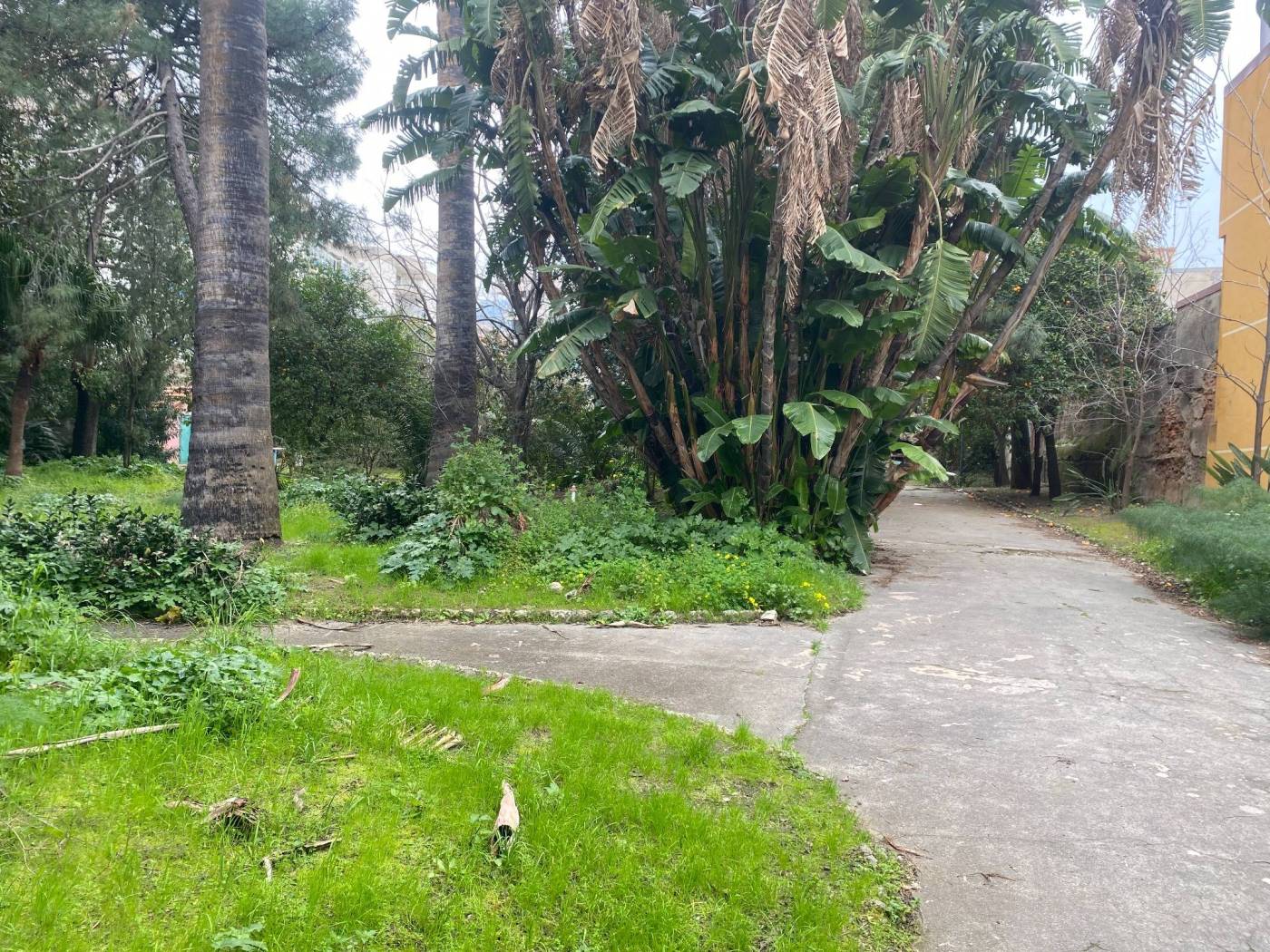 Giardino