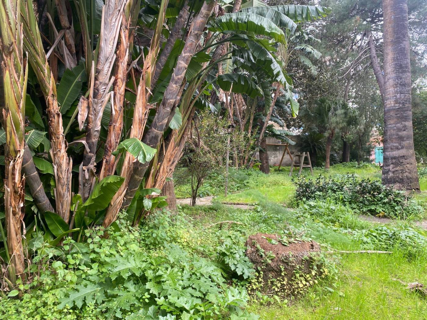 Terreno