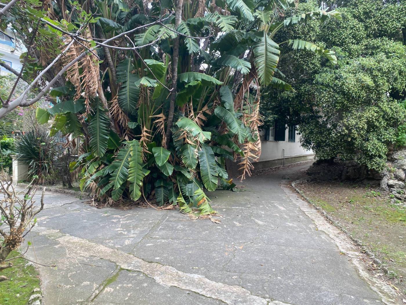 Giardino