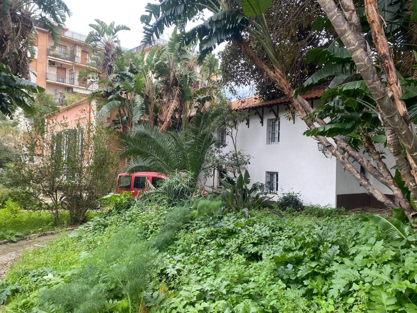 Giardino