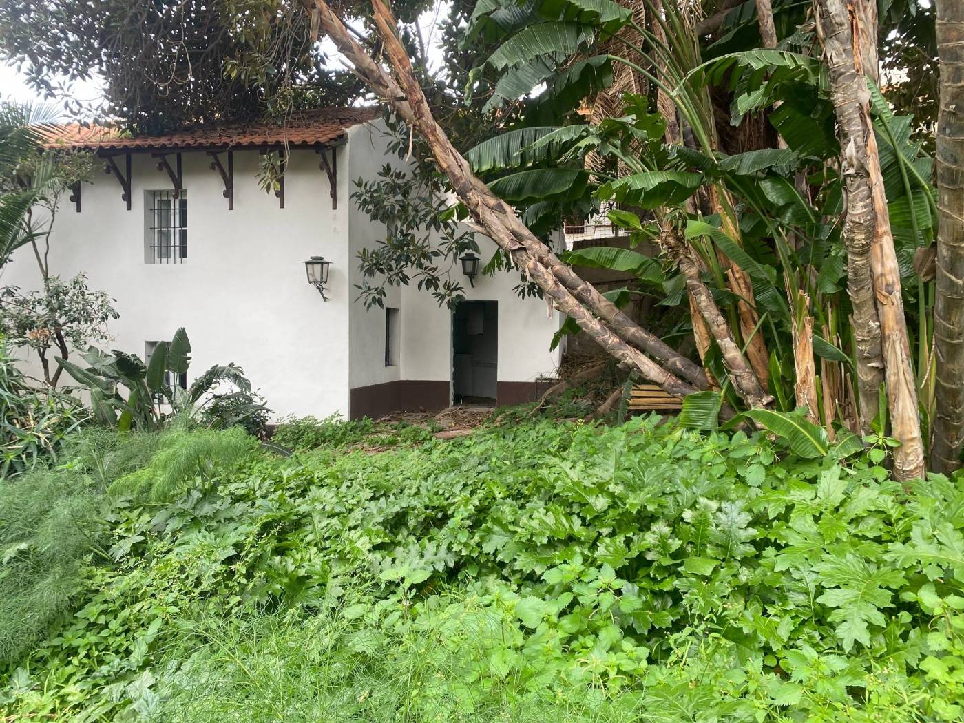 Giardino