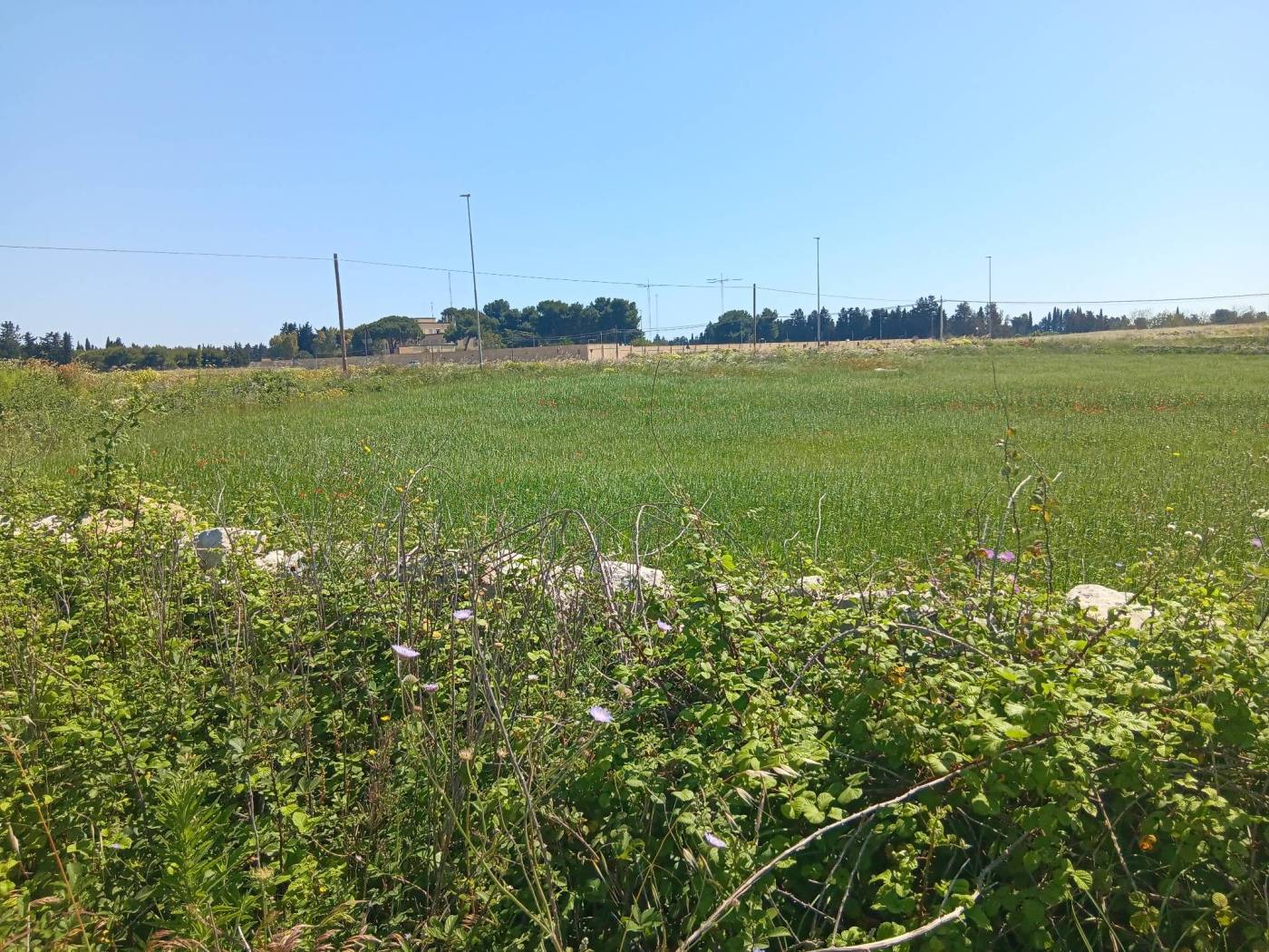 Terreno