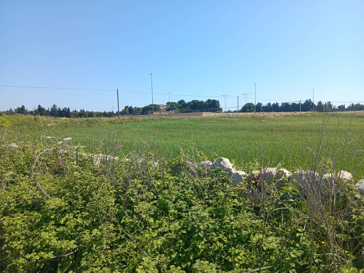 Terreno