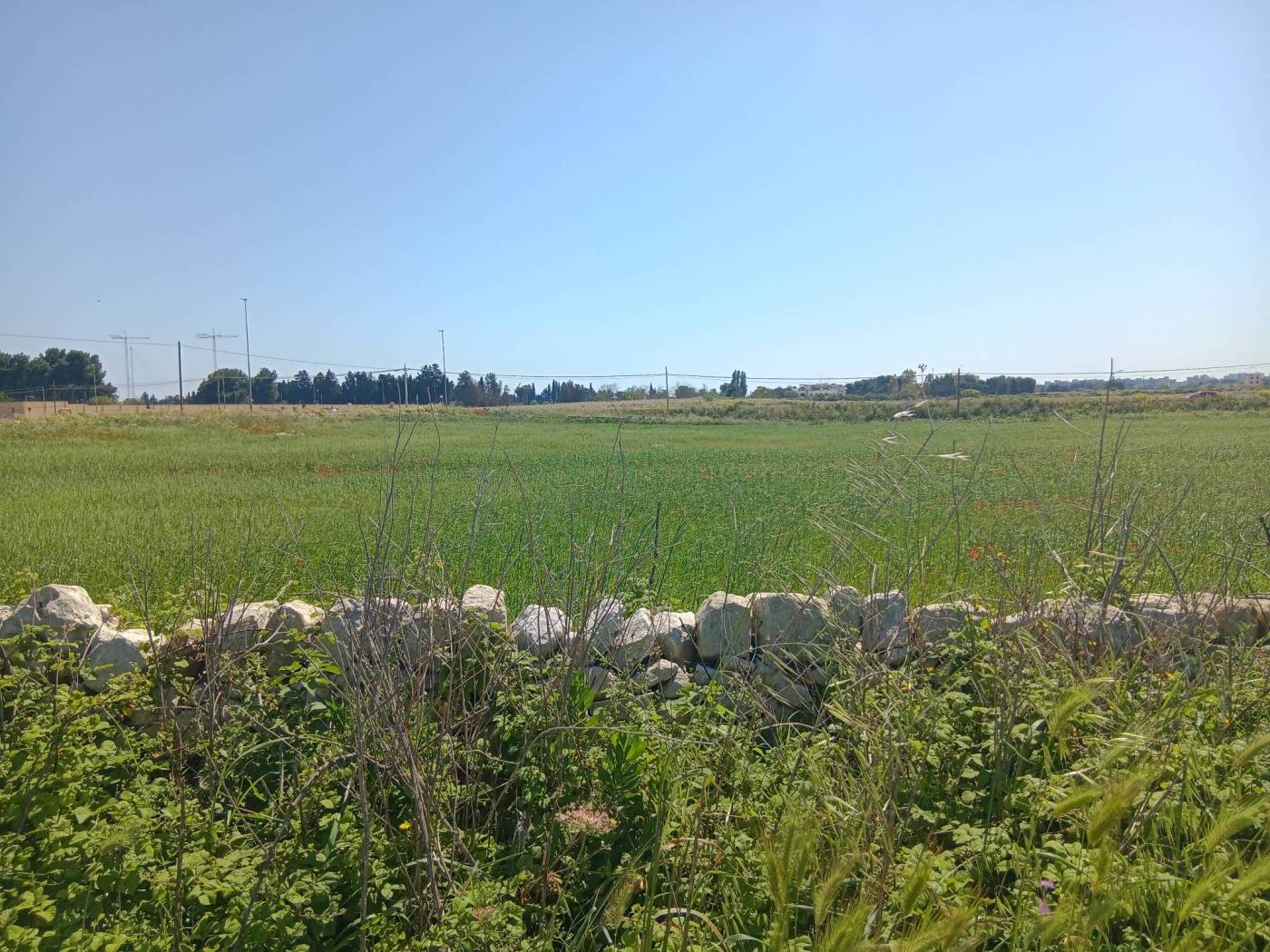 Terreno