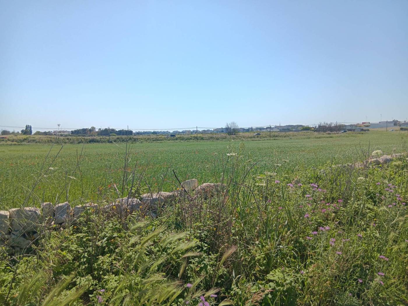 Terreno