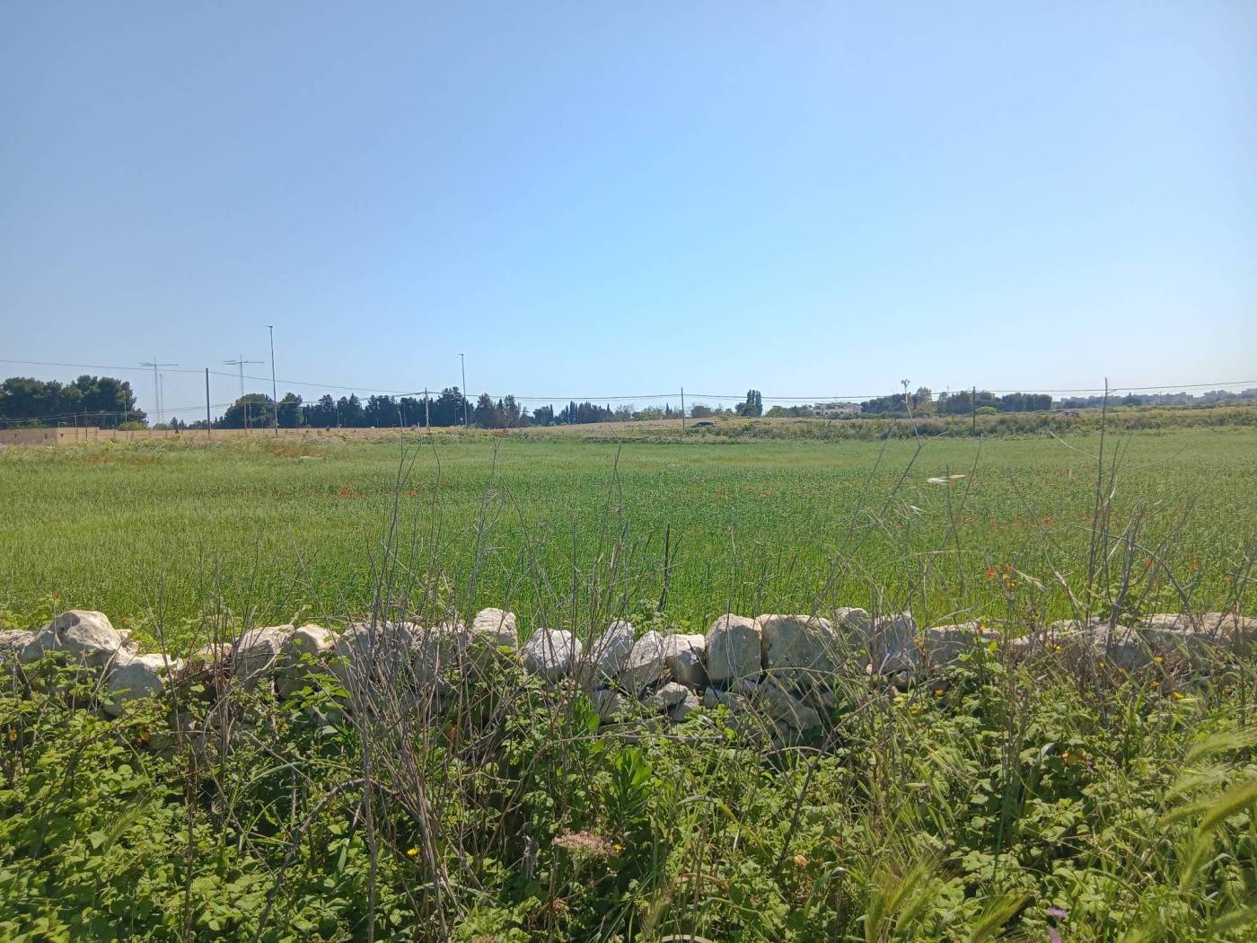 Terreno